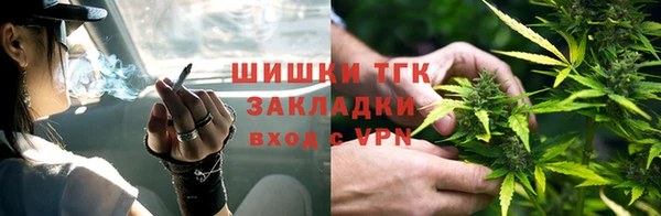 дживик Новодвинск