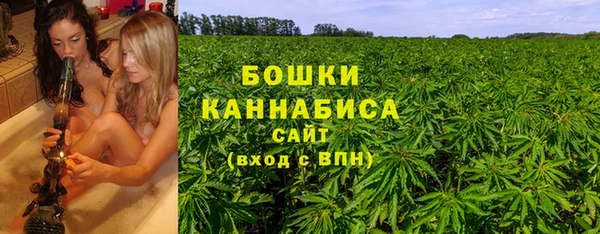 дживик Новодвинск