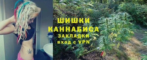 дживик Новодвинск