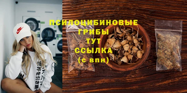 стаф Новокубанск
