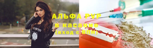 дживик Новодвинск
