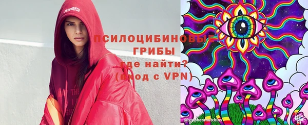 стаф Новокубанск