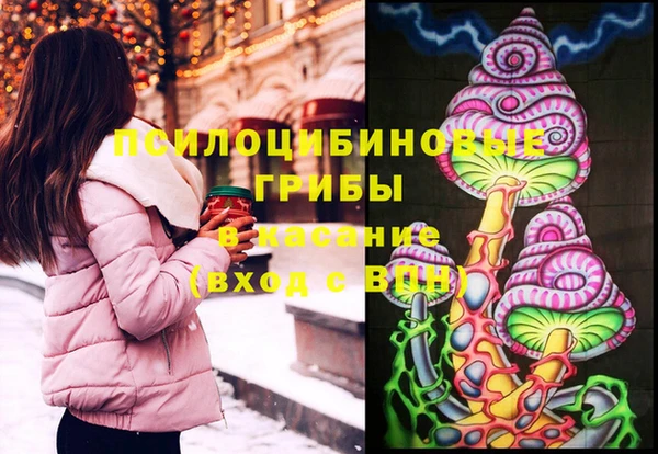дживик Новодвинск
