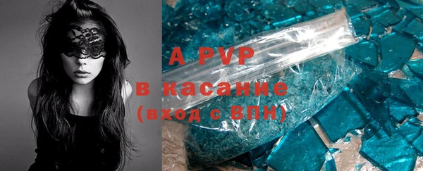 стаф Новокубанск
