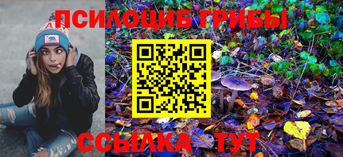 Советский  Галлюциногенные грибы MAGIC MUSHROOMS  Галлюциногенные грибы прущие грибы  Вход с VPN 